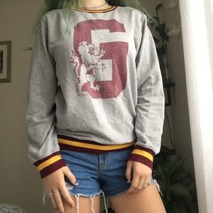 Gryffindor sweater